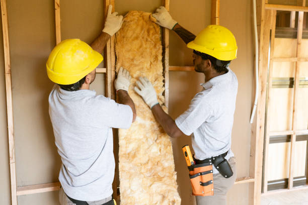 Best Insulation Removal  in Colonial Heights, VA